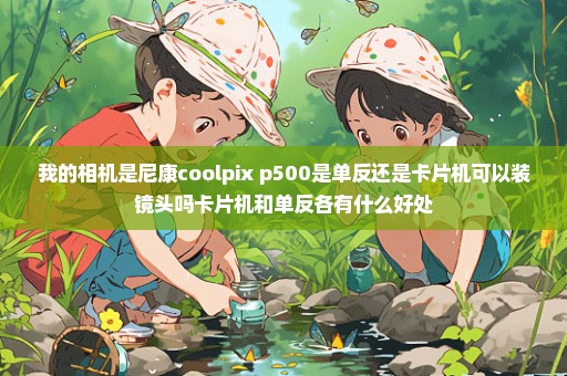 我的相机是尼康coolpix p500是单反还是卡片机可以装镜头吗卡片机和单反各有什么好处