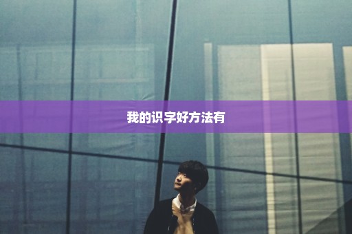 我的识字好方法有