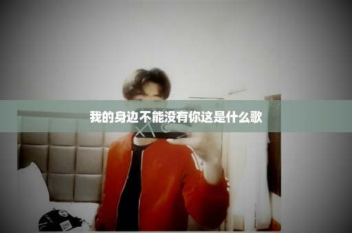 我的身边不能没有你这是什么歌