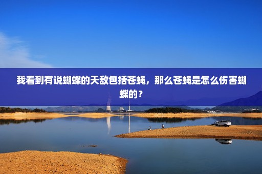 我看到有说蝴蝶的天敌包括苍蝇，那么苍蝇是怎么伤害蝴蝶的？