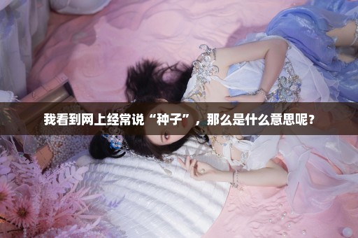 我看到网上经常说“种子”，那么是什么意思呢？