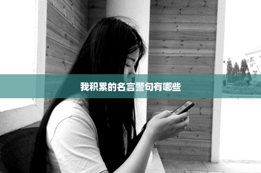 我积累的名言警句有哪些