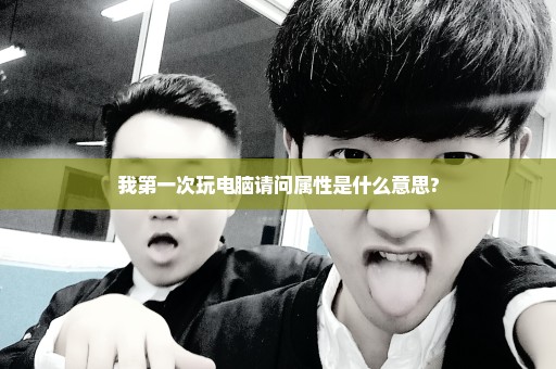 我第一次玩电脑请问属性是什么意思?