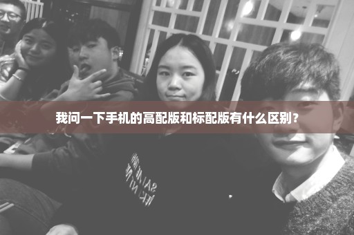 我问一下手机的高配版和标配版有什么区别？