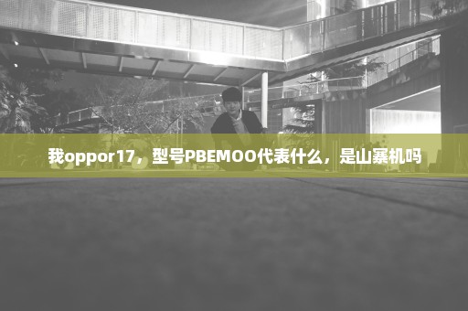 我oppor17，型号PBEMOO代表什么，是山寨机吗