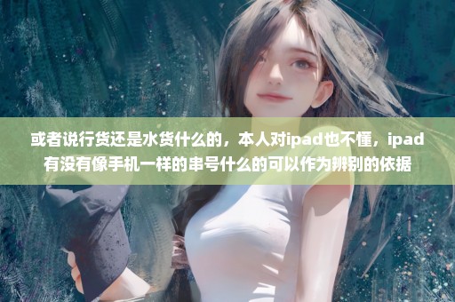 或者说行货还是水货什么的，本人对ipad也不懂，ipad有没有像手机一样的串号什么的可以作为辨别的依据
