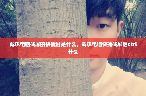 戴尔电脑截屏的快捷键是什么，戴尔电脑快捷截屏键ctrl+什么 