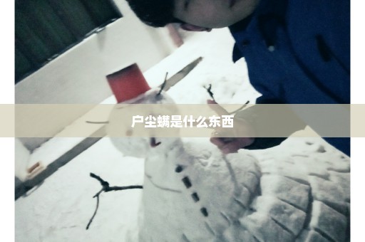 户尘螨是什么东西
