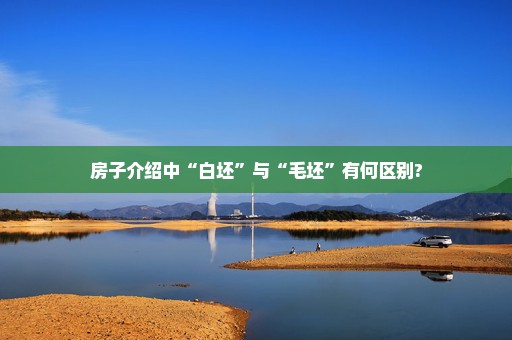 房子介绍中“白坯”与“毛坯”有何区别?