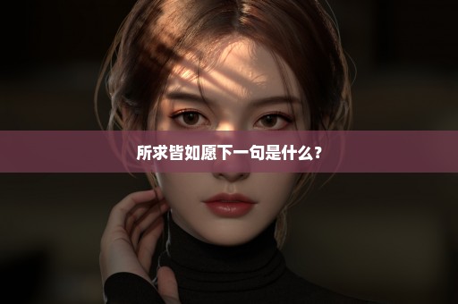 所求皆如愿下一句是什么？