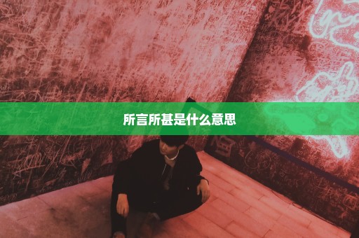 所言所甚是什么意思