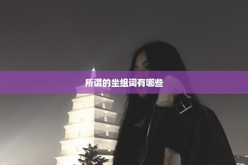 所谓的坐组词有哪些