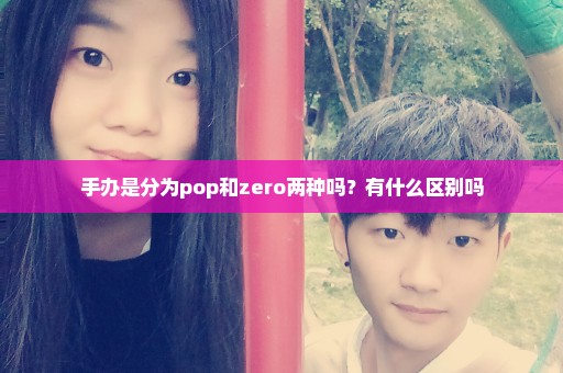 手办是分为pop和zero两种吗？有什么区别吗