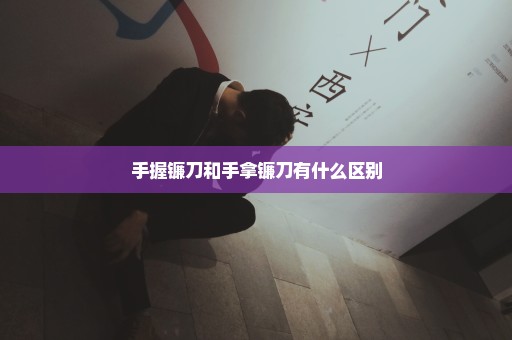 手握镰刀和手拿镰刀有什么区别