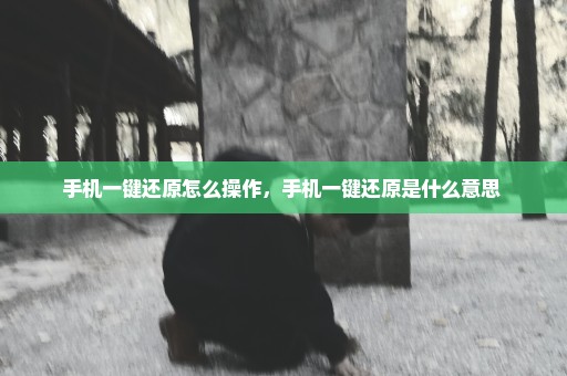 手机一键还原怎么操作，手机一键还原是什么意思 