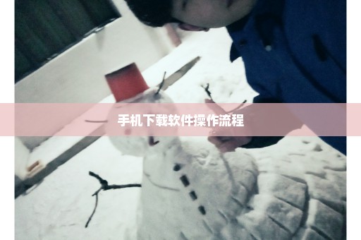 手机下载软件操作流程