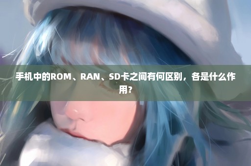 手机中的ROM、RAN、SD卡之间有何区别，各是什么作用？
