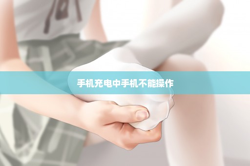 手机充电中手机不能操作