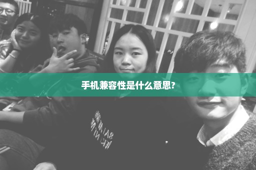 手机兼容性是什么意思?