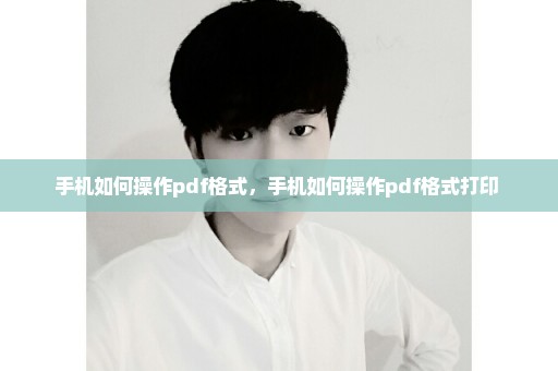 手机如何操作pdf格式，手机如何操作pdf格式打印 