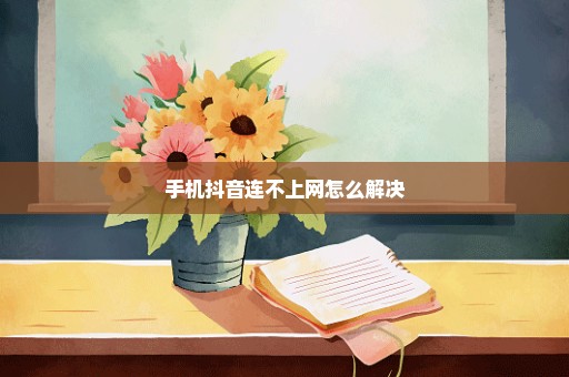 手机抖音连不上网怎么解决