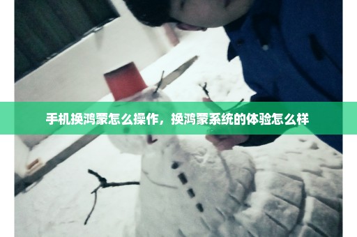 手机换鸿蒙怎么操作，换鸿蒙系统的体验怎么样 
