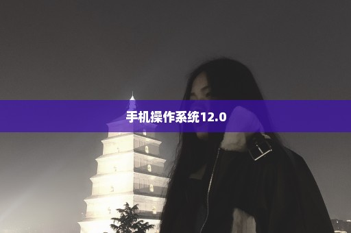 手机操作系统12.0