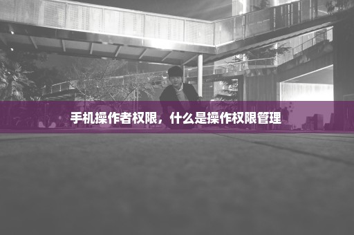 手机操作者权限，什么是操作权限管理 
