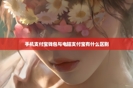 手机支付宝钱包与电脑支付宝有什么区别