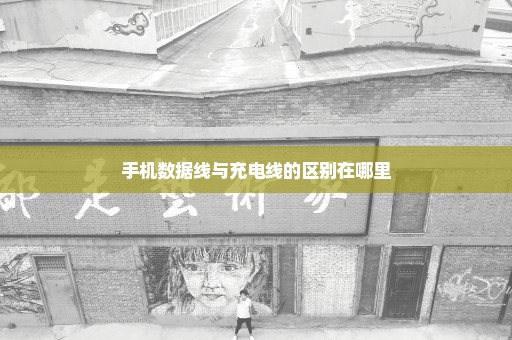 手机数据线与充电线的区别在哪里