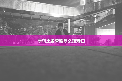 手机王者荣耀怎么挂端口