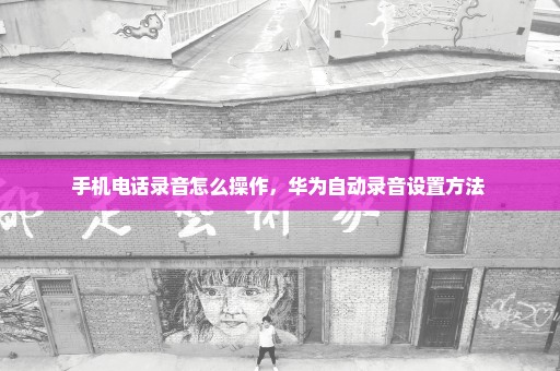 手机电话录音怎么操作，华为自动录音设置方法 