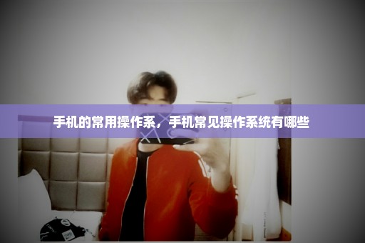 手机的常用操作系，手机常见操作系统有哪些 