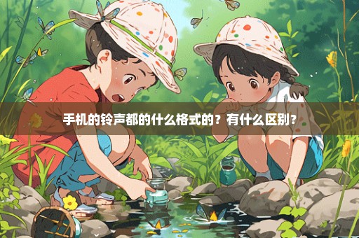手机的铃声都的什么格式的？有什么区别？