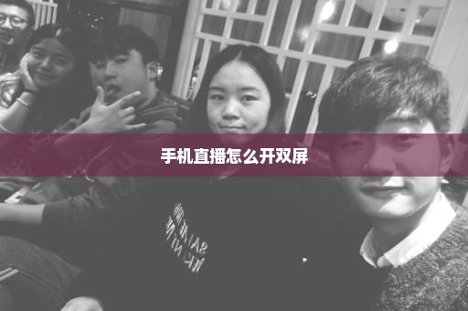 手机直播怎么开双屏