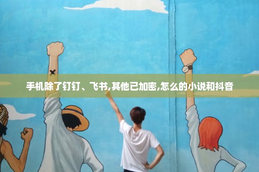 手机除了钉钉、飞书,其他已加密,怎么的小说和抖音