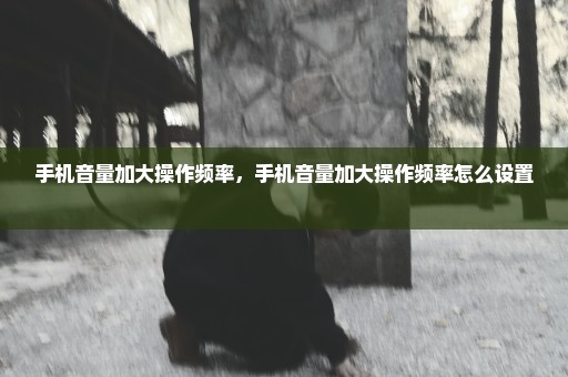 手机音量加大操作频率，手机音量加大操作频率怎么设置 