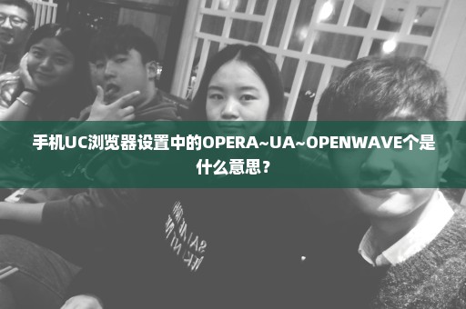手机UC浏览器设置中的OPERA~UA~OPENWAVE个是什么意思？