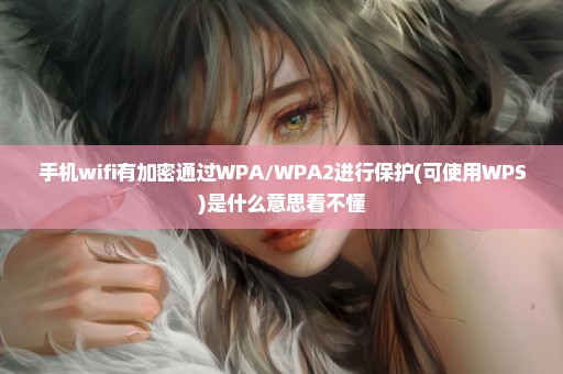 手机wifi有加密通过WPA/WPA2进行保护(可使用WPS)是什么意思看不懂