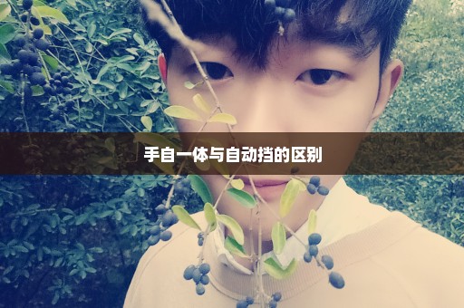 手自一体与自动挡的区别