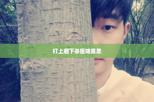 打上君下杀臣啥意思