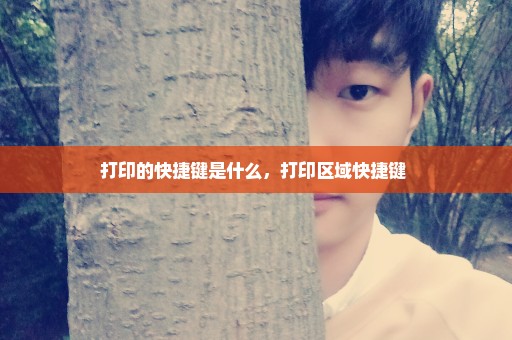 打印的快捷键是什么，打印区域快捷键 