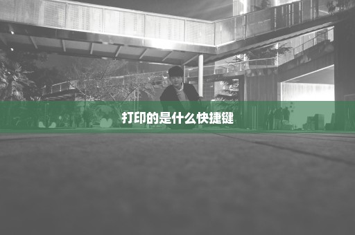 打印的是什么快捷键