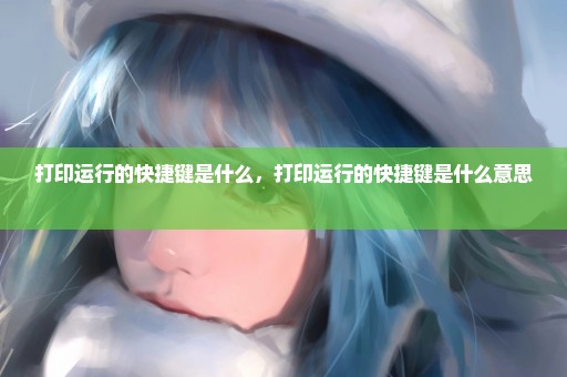 打印运行的快捷键是什么，打印运行的快捷键是什么意思 