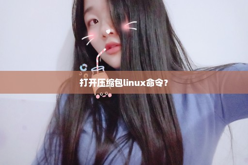 打开压缩包linux命令？