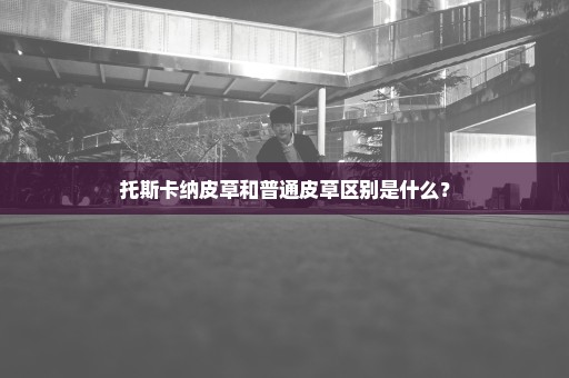 托斯卡纳皮草和普通皮草区别是什么？