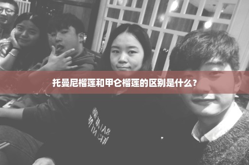 托曼尼榴莲和甲仑榴莲的区别是什么？