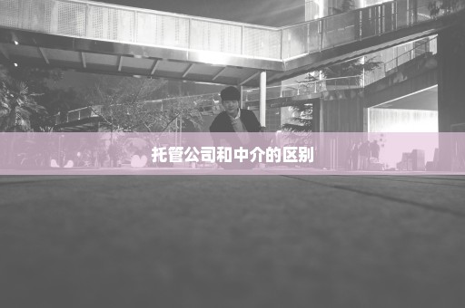 托管公司和中介的区别