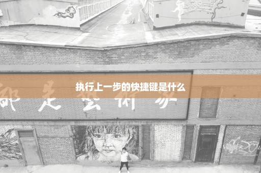 执行上一步的快捷键是什么