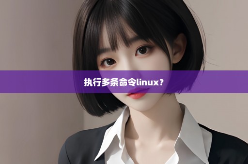 执行多条命令linux？